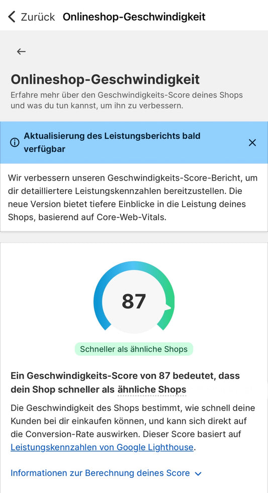 Dropshipping Website All-Inklusiv Service + Google My Business bei Bedarf